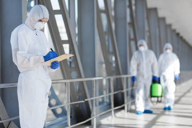 Best Mold Removal for HVAC Installations  in Toast, NC