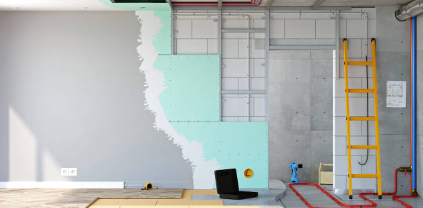 Best Water Damage & Mold Remediation  in Toast, NC