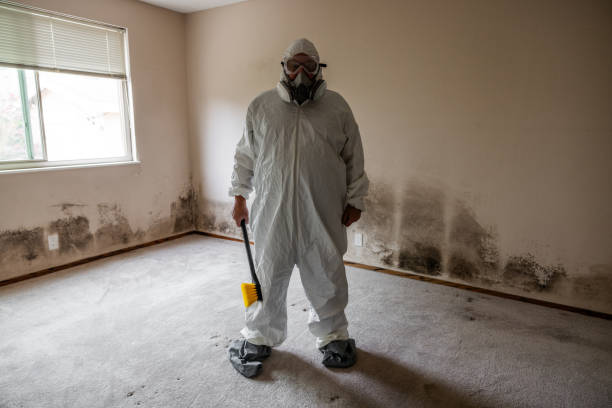 Best Commercial Mold Inspection  in Toast, NC